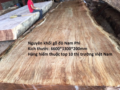 Sập gỗ gõ đỏ Nam Phi nguyên khối 6.6met